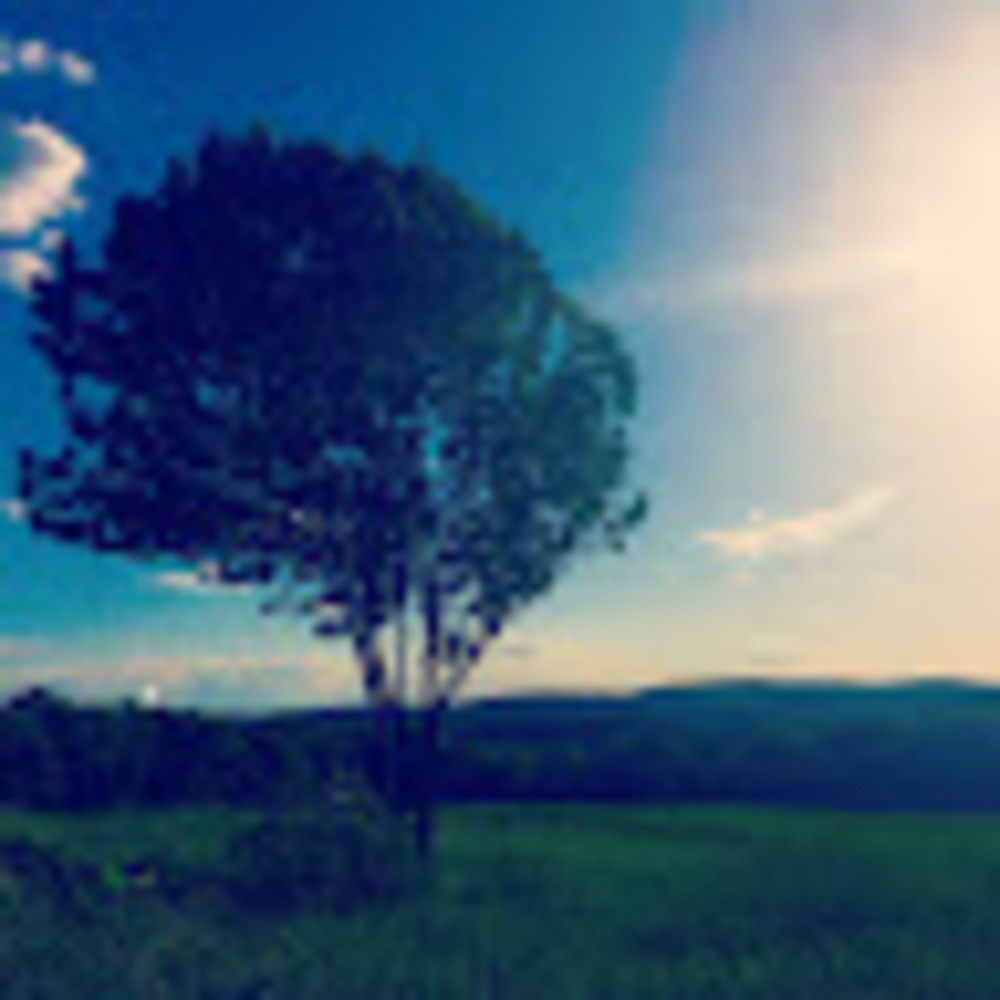 Meet your Posher, Jacalyn